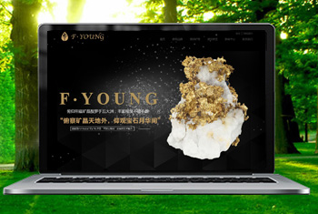 �绯�������ﱦʯ